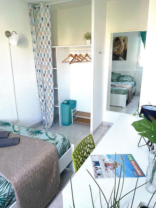 Appt Lumineux, Piscine, Wifi Apartment Montpellier Bagian luar foto