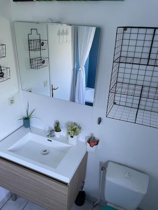 Appt Lumineux, Piscine, Wifi Apartment Montpellier Bagian luar foto